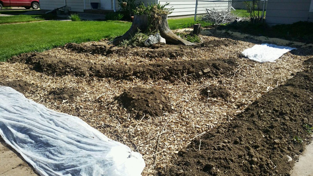 H2aProducts's tweet photo. Nothing better than gardening on #EarthDay in Colorado! #h2aproducts #highaltitude #nature #garden #urbanfarming https://t.co/OcZ9WmqjB6