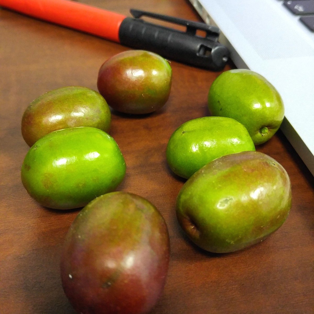 Le wild ciruelas traqueadoras appears