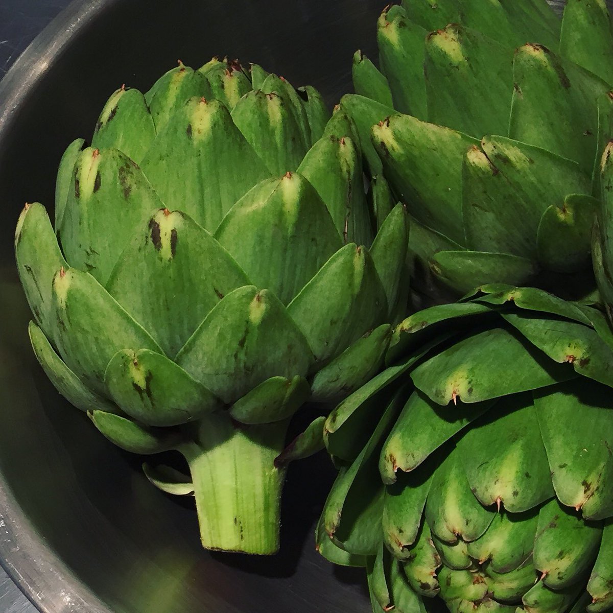 100loves's tweet photo. We're going to rock these artichokes up real nice-like. Celebrating #romanspring @bcae. https://t.co/SuQ6Ef3om0