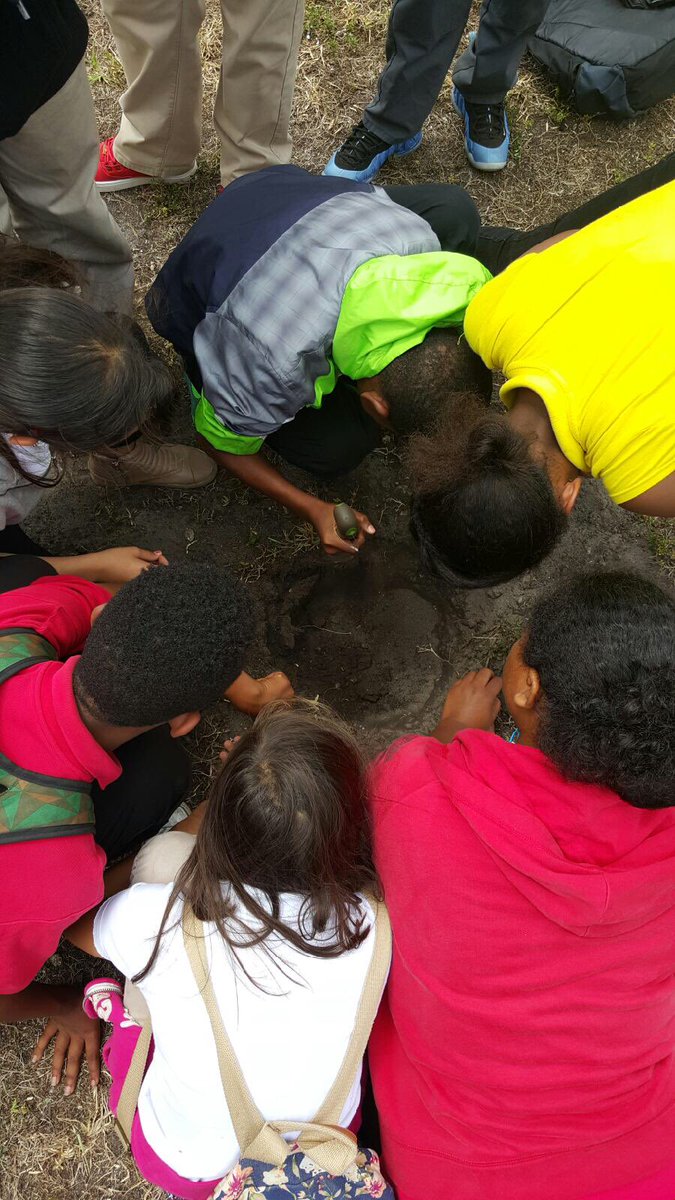 Madison's mustangs celebrating #EarthDay2016 with campus beautification @pr6391_ @6gradeMadison 🌎♻️🌱