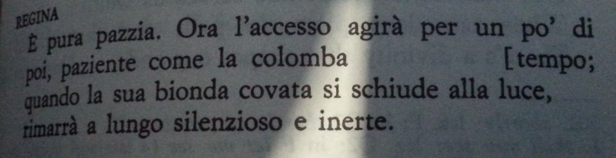 GiuseppePeris's tweet photo. #HamleTw/19 @marconi99D https://t.co/8uexvcesqK