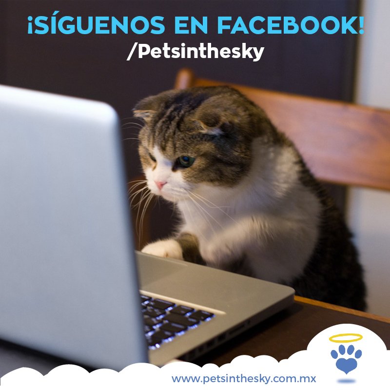 Para + información sobre #PetsInTheSky, ¡síguenos en <a href="/facebook/">Facebook</a>: bit.ly/1pqFE3p!
