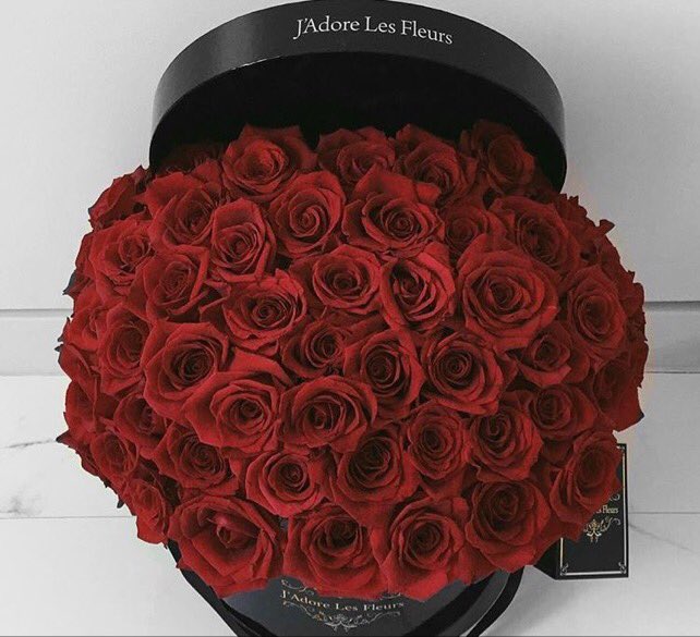 T_RexQueen's tweet image. Maybe if I drop enough hints.... 

@AlphaOwenJW is definitely not a romantic man... But... A girl can try