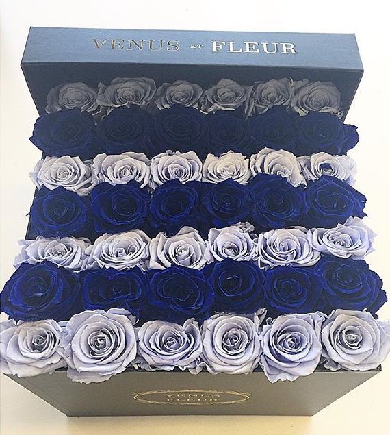 T_RexQueen's tweet image. Maybe if I drop enough hints.... 

@AlphaOwenJW is definitely not a romantic man... But... A girl can try