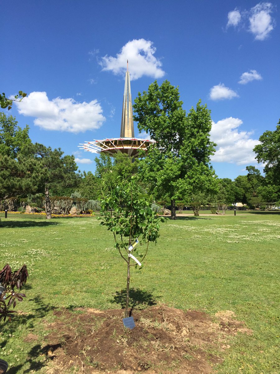 Global_U's tweet photo. Global U and @UNAofEO celebrated #EarthDay by planting a tree at @OralRobertsU 🌳 Happy Earth Day! https://t.co/hyZiXKpjTB