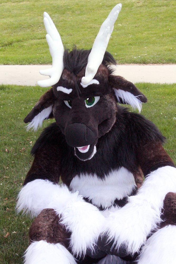KnowMeByHart's tweet photo. This photo is dating profile material. 
On second thought, I AM a walking dating profile.
Happy #FursuitFriday! https://t.co/gLQP8eHXJv