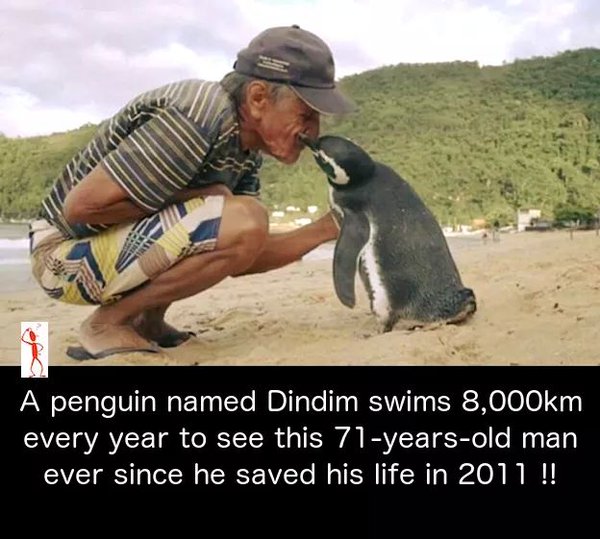 SpeakComedy's tweet photo. When animals are more humane compared to human beings. https://t.co/eYI1PpllTB