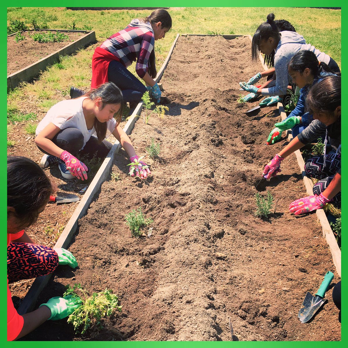 FairviewGCSNC's tweet photo. Isn't S.H.E. Lovely completed their sisterhood unit this week, w/another gardening activity! #HappyEarthDay #GCSYes https://t.co/EWn96iULQj