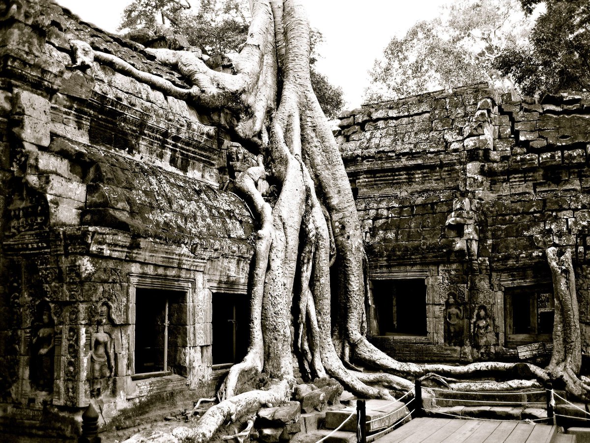 TourInsightNZ's tweet photo. Explore #SiemReap (Cambodia) in 4 days 3 nights https://t.co/ThwmO2j2xT The ruins of the ancient city of #AngkorWat https://t.co/nDQim5A0wN