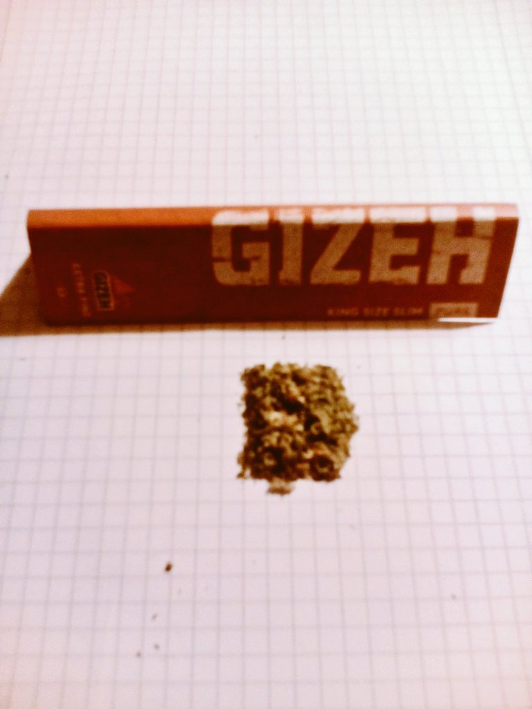 GreenBremen's tweet photo. Allen #Kiffer #Leuten ein #highess #Wochenende , ein hoch auf unsere #Stadt #Bremen.Grüße raus an alle #Unterstützer https://t.co/thb2qswBNe