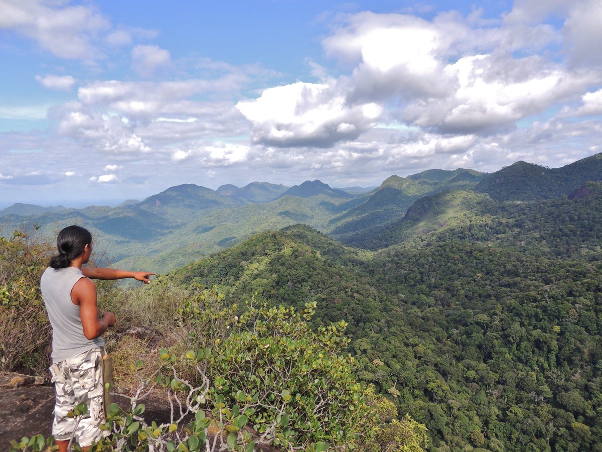 RupWildlife's tweet photo. From the Kanuku Mtns... “Look deep into nature, and then you will understand everything better.” – Albert Einstein https://t.co/BVPaP5RdQP