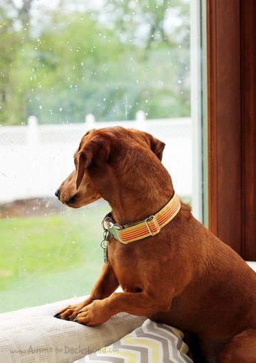 Sometimes I wonder if gelato is thinking about me too.