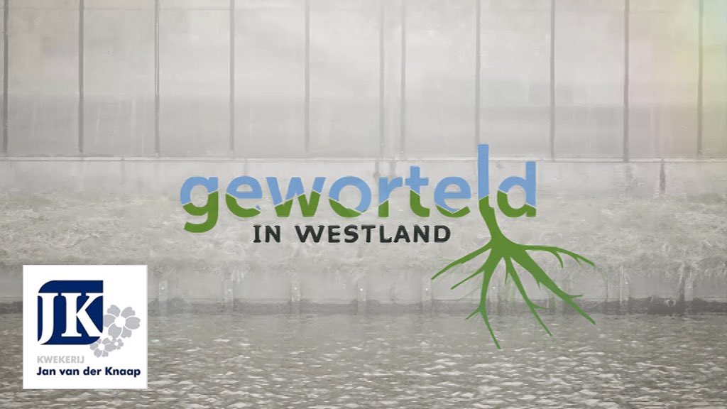 ritv.nl/aflevering/136…