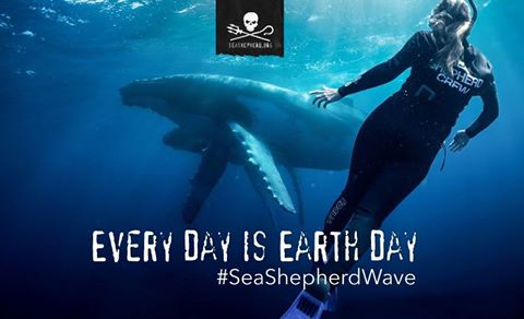 SeaShepherdBR's tweet photo. Torne-se um doador mensal e celebre o #diadaterra conosco todo o ano Acesse https://t.co/4iKmoQorZa #SeaShepherdWave https://t.co/Gblfy0e197