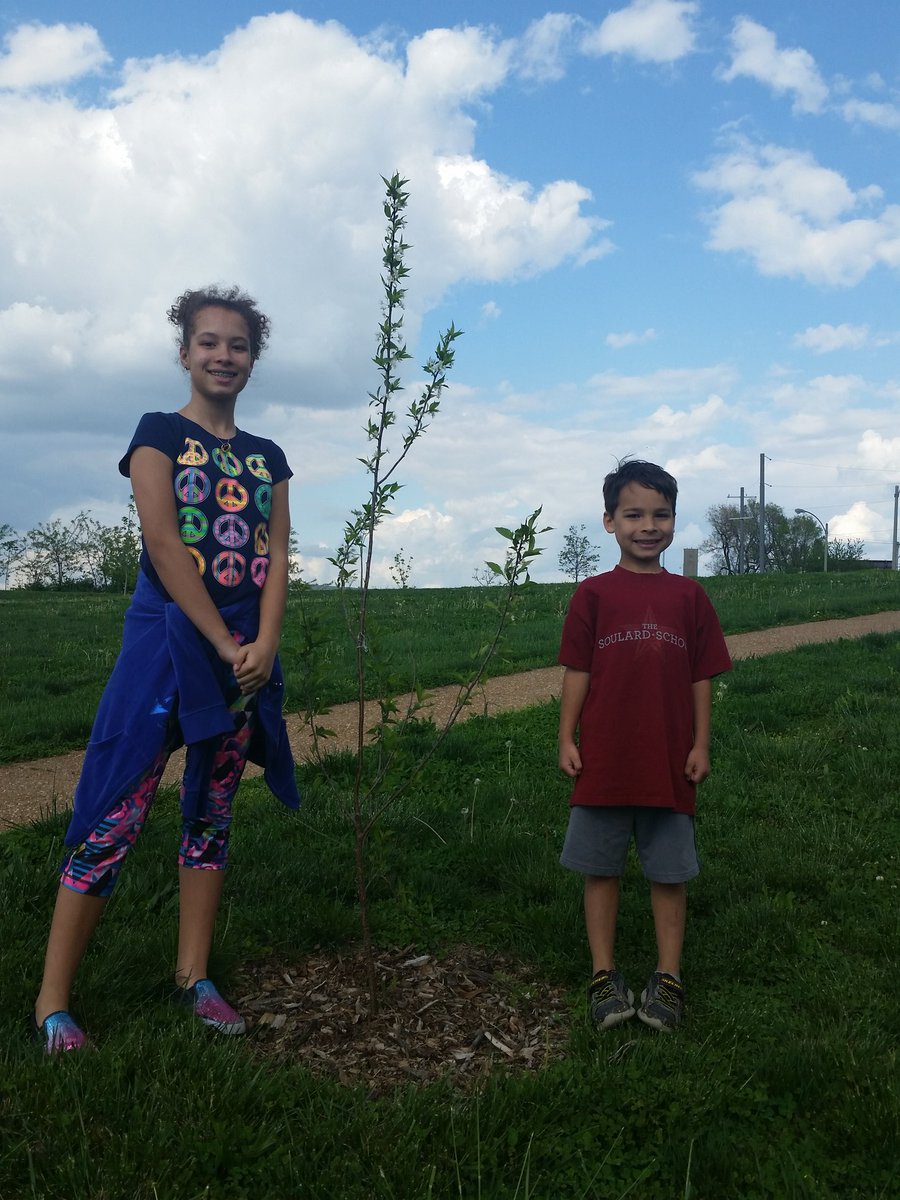 BermanLisa's tweet image. #Plant4PeaceSTL For #EarthDay we visited the tree we planted last fall for Holly&apos;s project. So happy it is blooming!