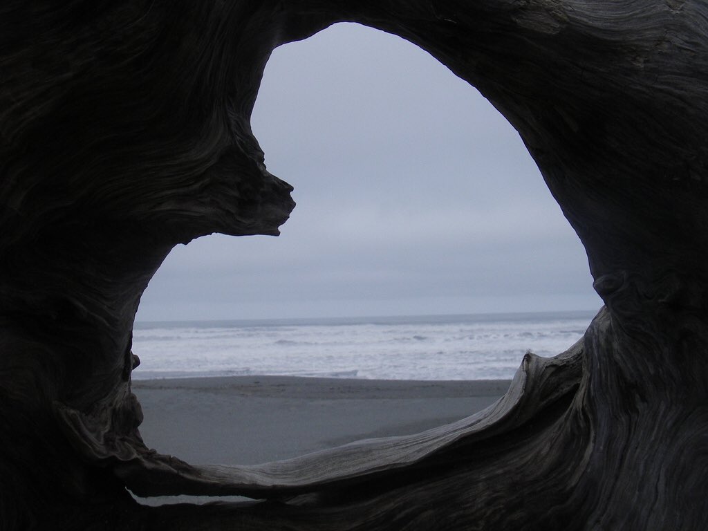 JaredAsNature's tweet image. Jared Padalecki as Humboldt Heart 🗻💜 #LYF #AKF #depressionawarenessweek