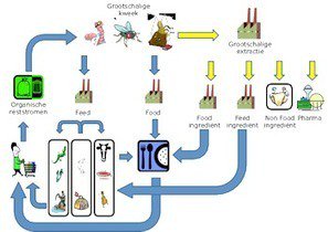 AnaCDay's tweet image. #Workshop registration form | @InsectCentre #WUR #HAS #NGN sco.lt/78J1Bh