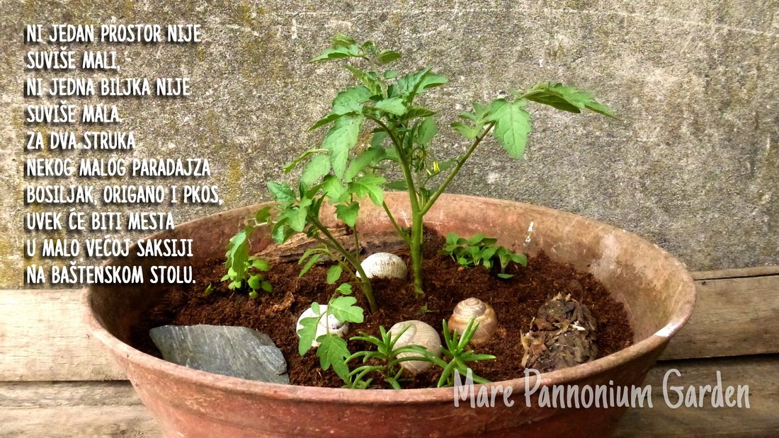svetionicar's tweet photo. Ako već nemate baštu a imate sto na terasi, dvorištu, verandi...
#Bašta #UradiSam #ImaMesta #TableGarden https://t.co/dBRKxGM5ge