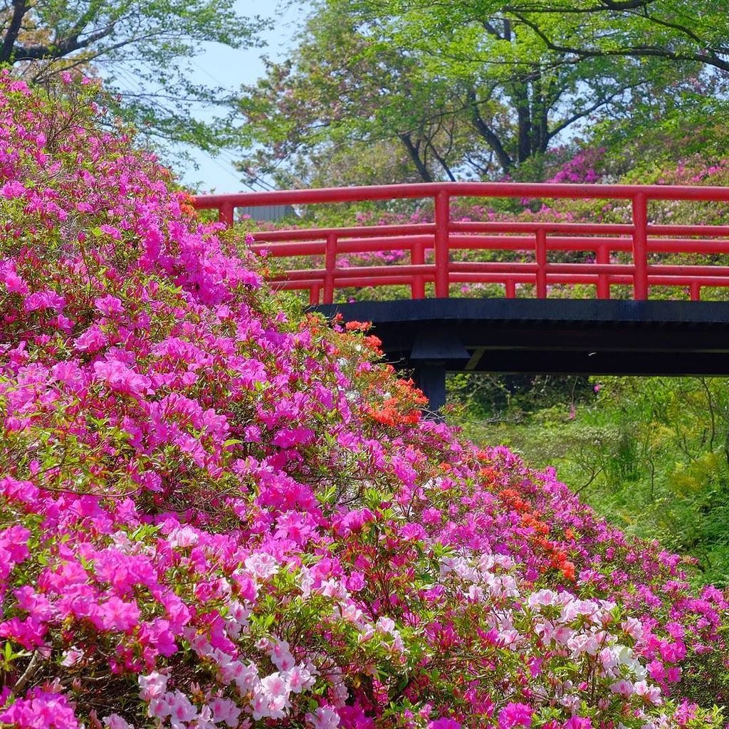 淡輪遊園