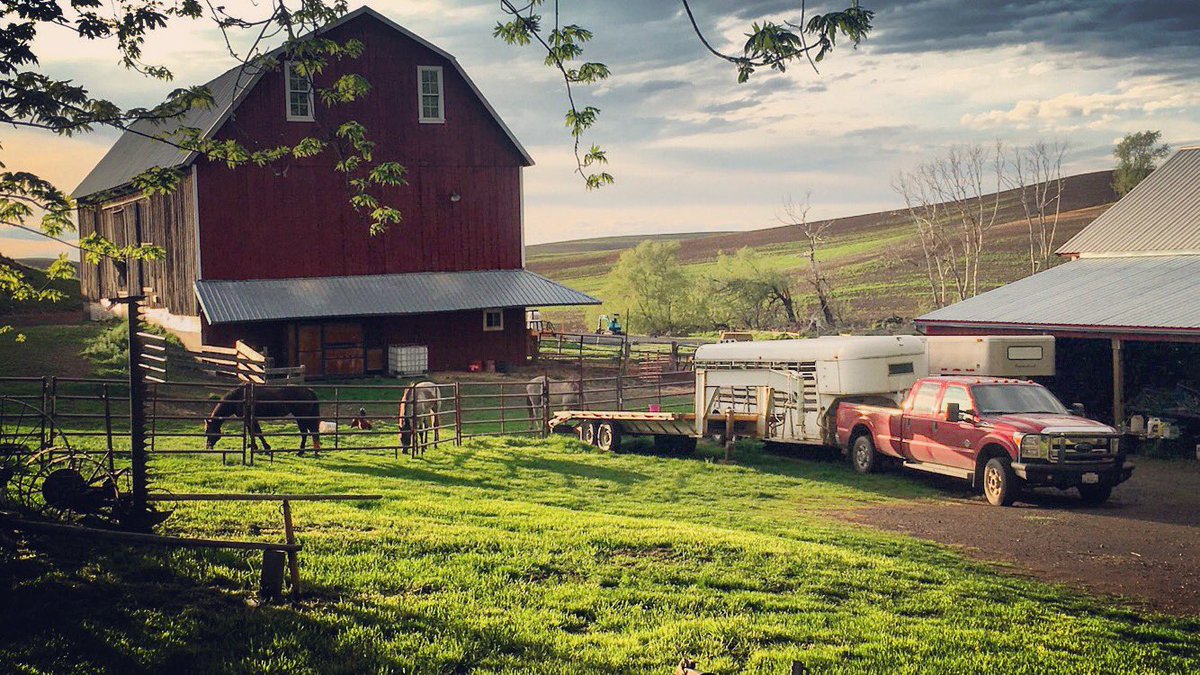 Bar R Cattle Company tweet media