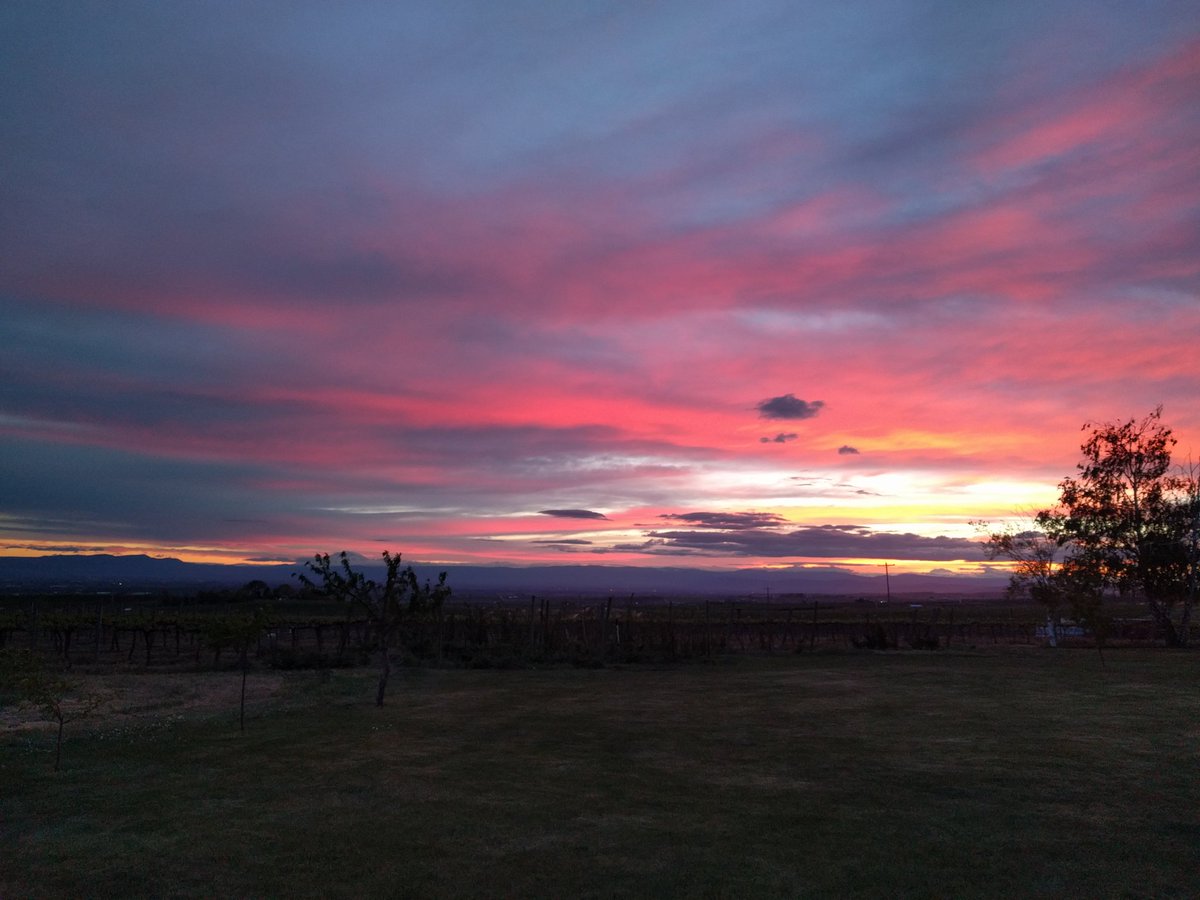 Red sky at night, #wine tasters delight at the <a href="/portteuswinery/">Portteus Winery</a> for barrel tasting weekend!