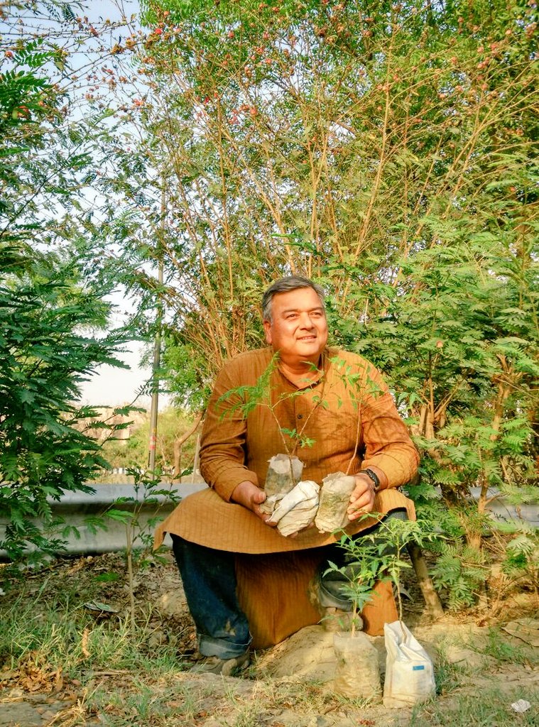 Humans. We were all born in forests! Forests should be home to all of us.
#PeepalBaba #GiveMeTrees #Trees