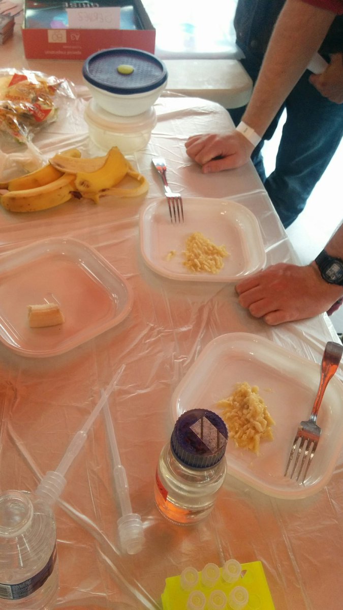 MinScientifique's tweet photo. Extraction d'ADN de banane en cours ! Stand 41 #neocast #videosciences #ScienceNeoCast https://t.co/9SV4x4Jmgs