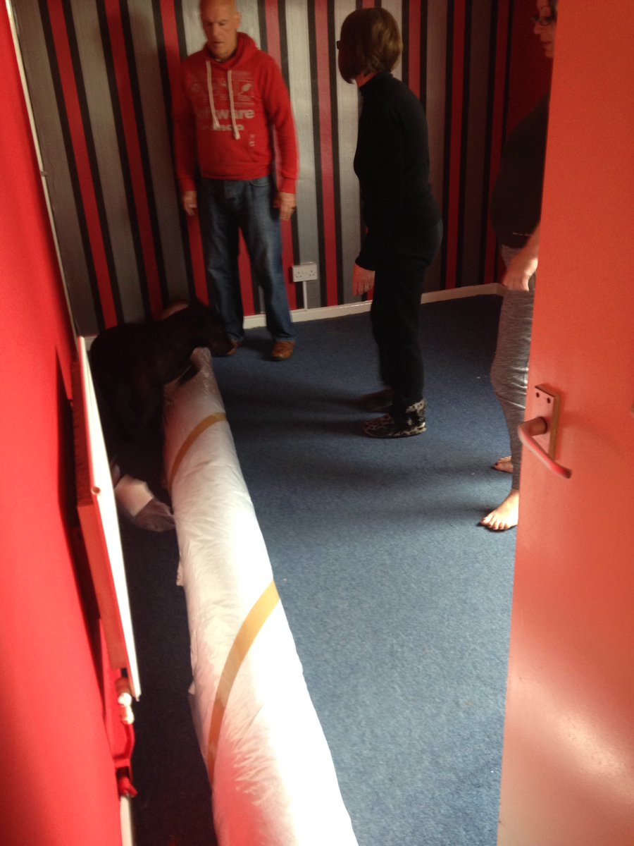 MindHighInSpace's tweet image. Family is here, i look like im moody but im low key rlly happy 😋😊