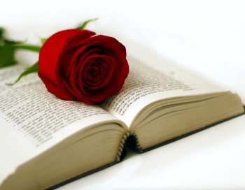 seedocare's tweet photo. ¡Feliz #DiaDelLibro! Tanto para los que leen en papel como los que leen con un ebook https://t.co/XnP4wogXCP