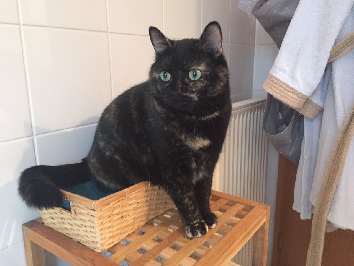 Hast du mich gerade fett genannt?