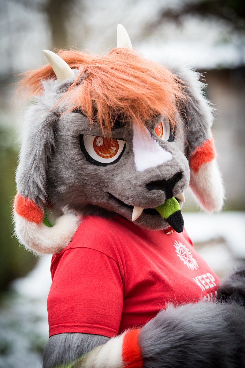 PumpkinGoat's tweet photo. Screw #votefortrump you should all vote #pumpkinforpresident I promise free scowls for all! #Fursuit #Fursuiter https://t.co/nfRN1zJHFz