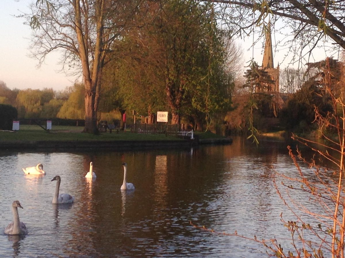 martin handley (@martinhandleyr3) on Twitter photo Swans of Avon out in force in Stratford for Breakfast <a href="/BBCRadio3/">BBC Radio 3</a> #shakespearelives join us on Bill's 400th Swans of Avon out in force in Stratford for Breakfast <a href="/BBCRadio3/">BBC Radio 3</a> #shakespearelives join us on Bill's 400th