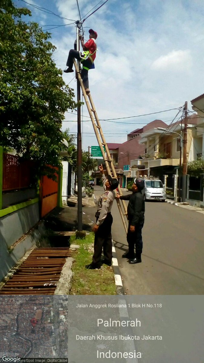 Tiang Telkom bersih dr parasit adalah utk meningkatkan layanan ke pelanggan #tiangkamipelanggankami