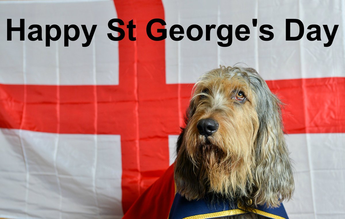 BritishArmy's tweet photo. Happy #StGeorgesDay from Fusilier George https://t.co/1NkETb3pxD