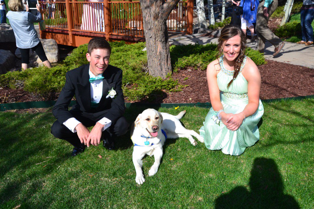 JollyCCI's tweet photo. Hey, I'm in the prom pictures! https://t.co/Q3Pm9OfoB2