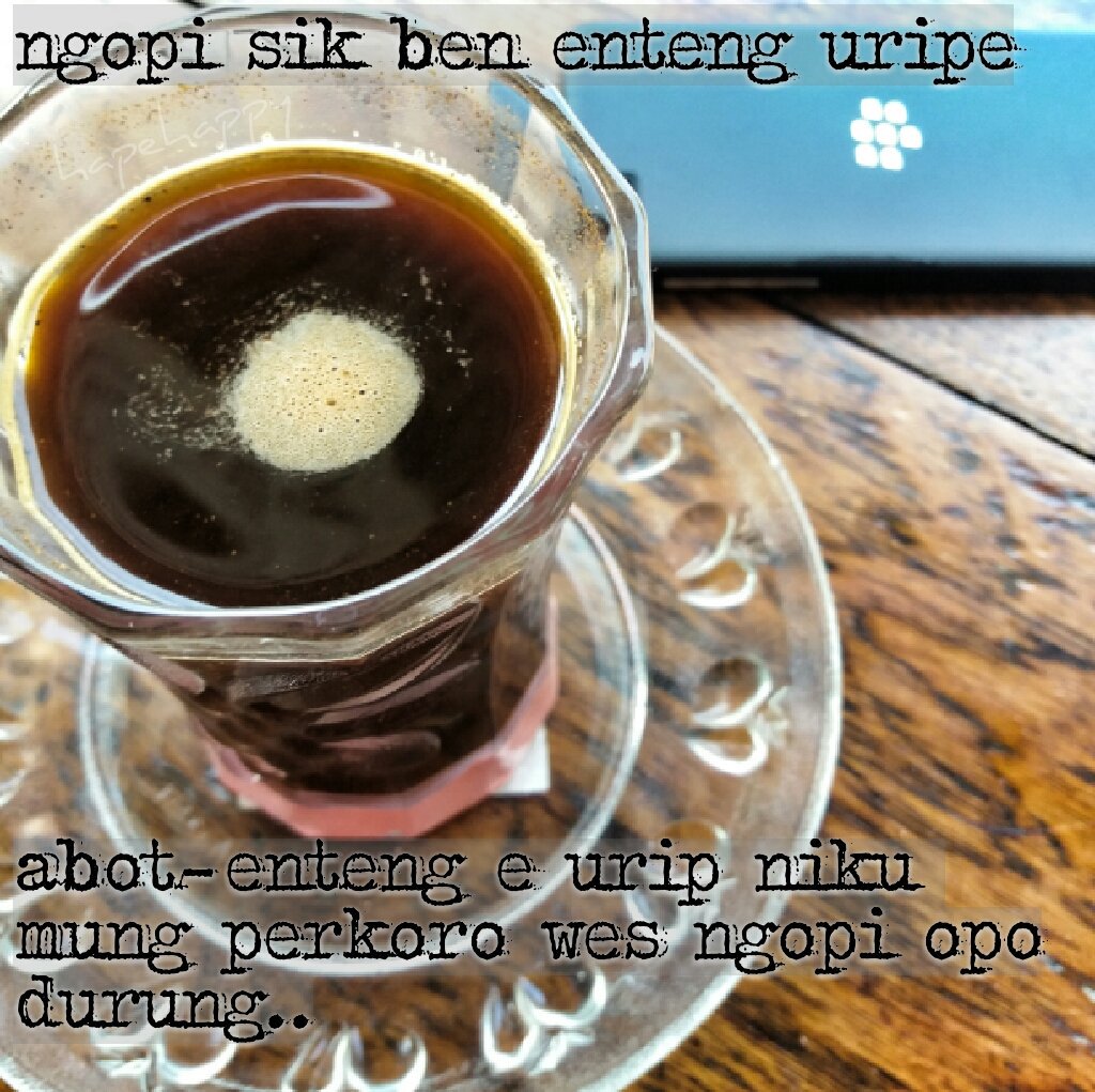 Nu Garis Lucu On Twitter Ini Bukan Kopi Timus