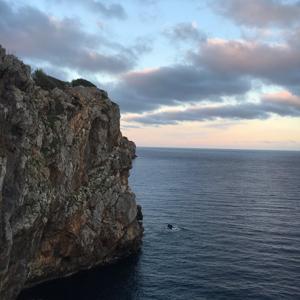 WCFCottingham's tweet image. #inspriational #startupbuild #lovethegrind working on PoliStory/Swivle from Mallorca