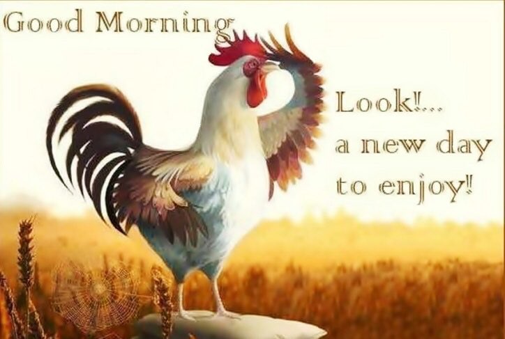 The Royal Butler On Twitter Good Morning Ladies And Gentlemen I Trust You Had A Good Rest Weekend Morning