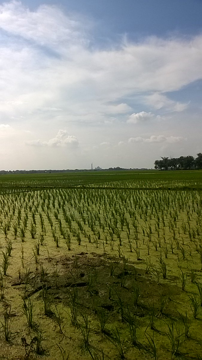 Deden Rohman G (@deden_rg) on Twitter photo 