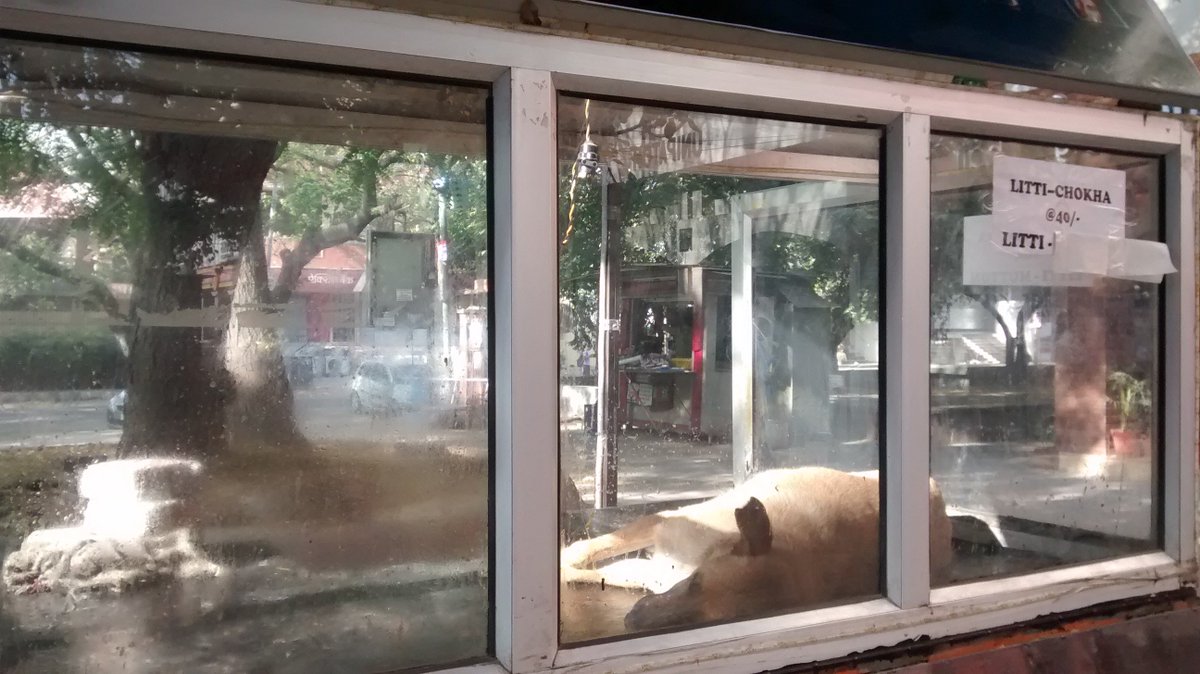 Nilanjana Paul tweet media