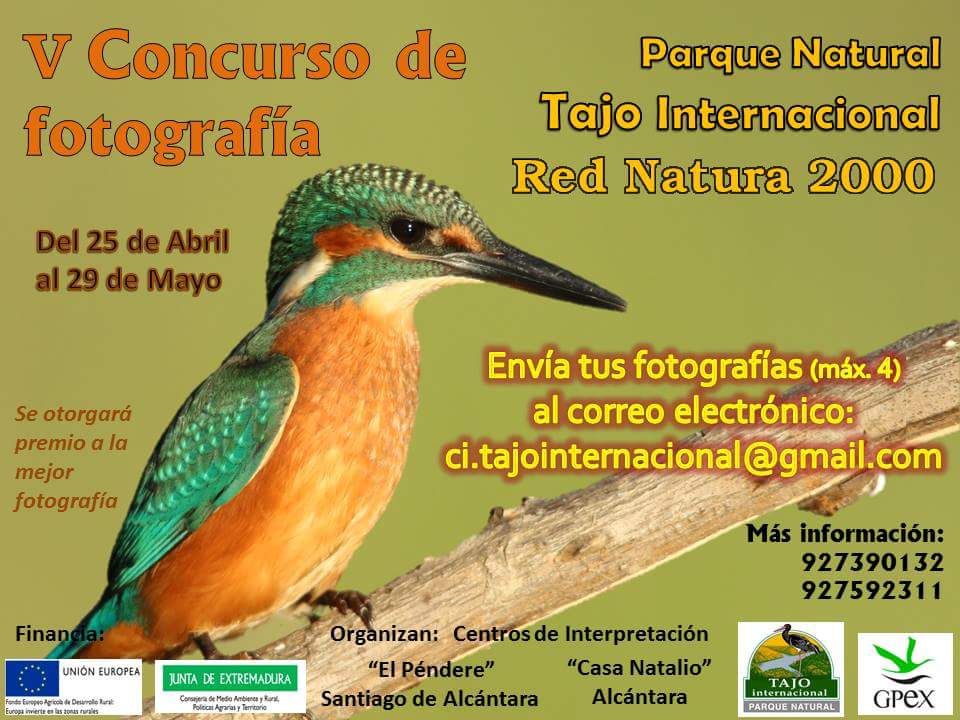 CI_TajoInternac's tweet photo. V Concurso Fotografía 
#rednatura2000 en el #TajoInternacional 
Envía tus fotos: ci.tajointernacional@gobex.es https://t.co/dYNhAEcGoL