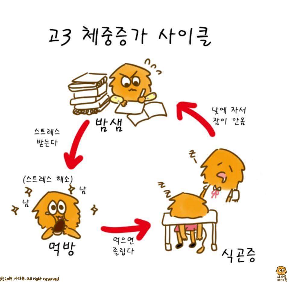 사자솜 sur Twitter : 사자솜 Sur Twitter :