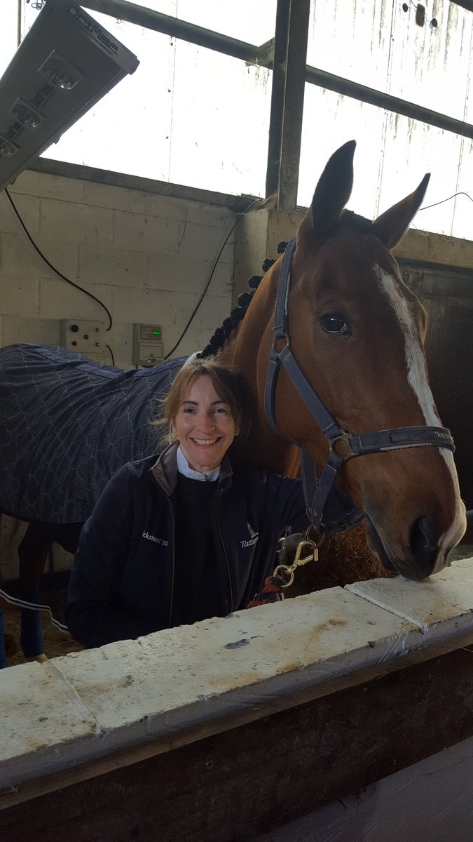 JS_Equestrian's tweet photo. Cooper all ready for his first ODE with Abi in the ROR section. #RORlatest #retrainedracehorse https://t.co/RQuLz4cKwB
