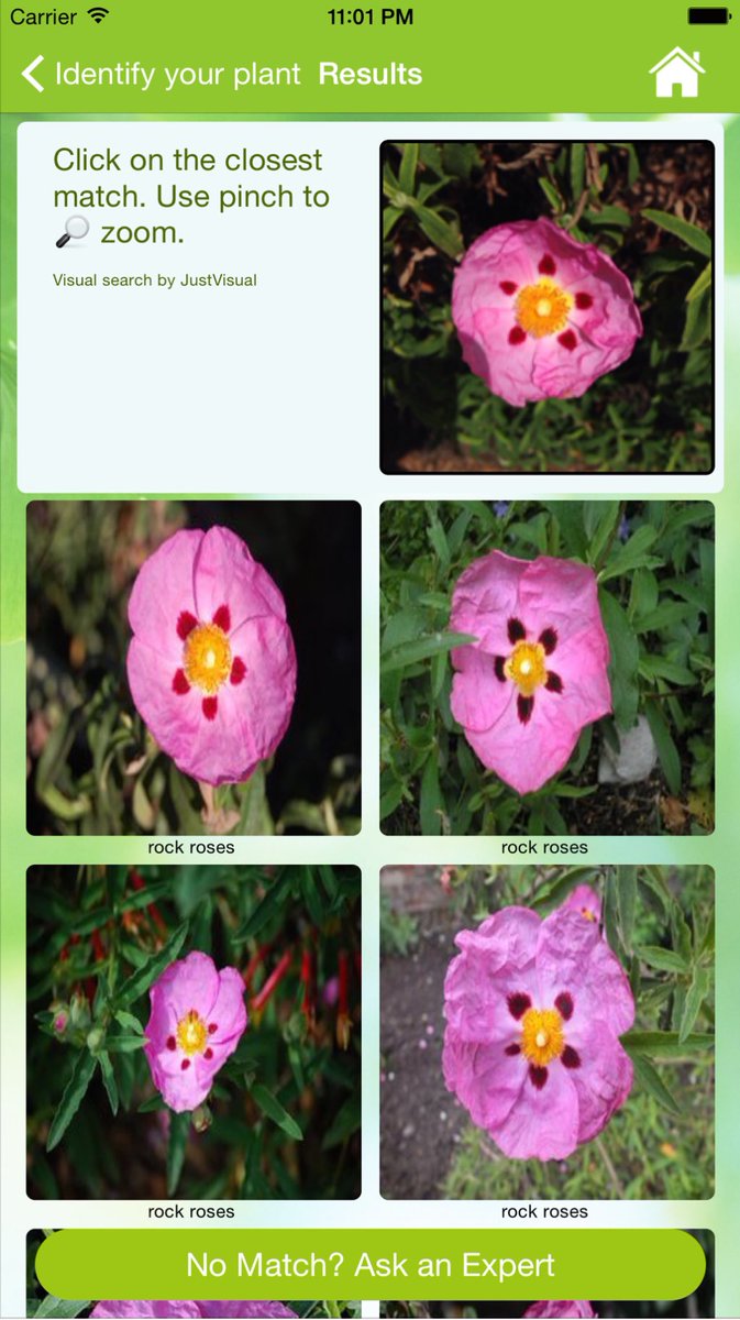 iOsUsefullApps tweet picture
