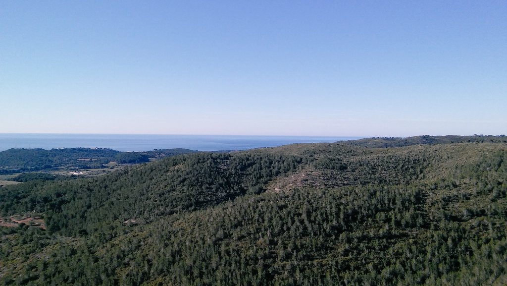 JRaulGuerrero's tweet photo. https://t.co/MIxfe57uwH Buen entreno en montaña! #trailrunning #running #filirun @idorun_es @_r4fun_ @LoveRunSmile https://t.co/aQvOcYERcV