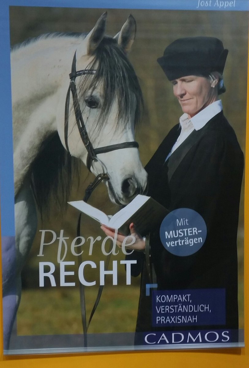 grabitweet's tweet photo. #Hansepferd - So werden also Juristen gemacht https://t.co/H44XD1z0dh