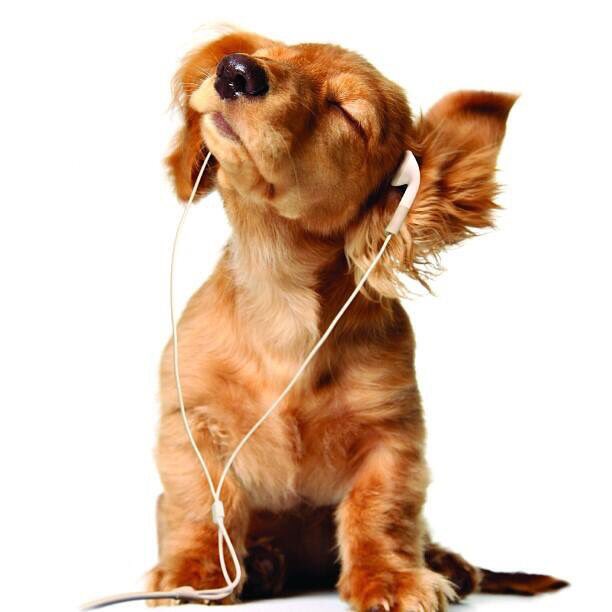 Uuuuuuuu .... asuuuu..... uauiaiyaiyuuuu...