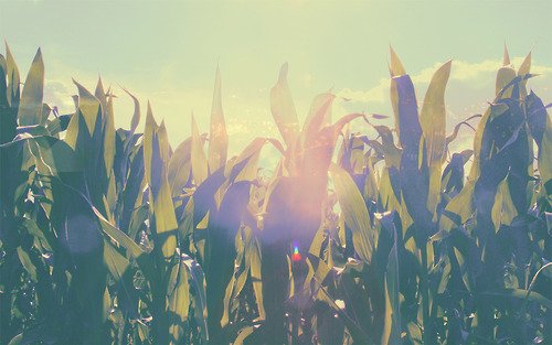 _ALTAFORMA's tweet image. Church planting puts mission at the heart of the church and church at the heart of mission. -Total Church