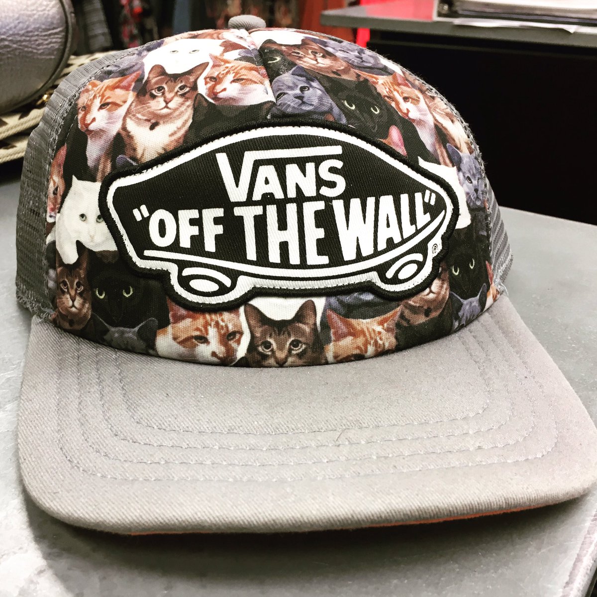 vans cat hat