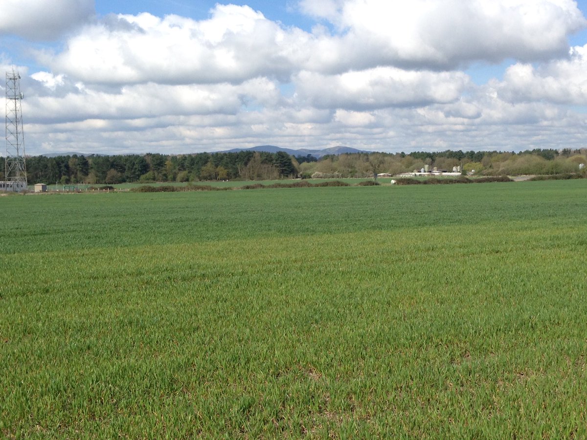 FarmlifeNTL's tweet photo. application of pig #slurry on #wheat, what a difference! @middleton_wayne @rup78myd back to finish today #arable16 https://t.co/w1Wi7UHwyx